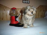 kopie1voni156556388_45786_31_1_1