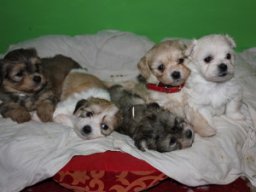 requalbilderonlineshop007_1