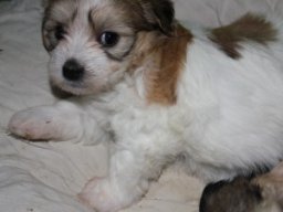 requalbilderonlineshop016_1