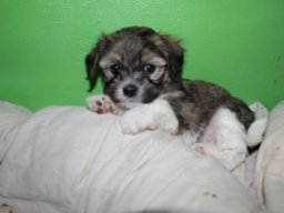 requalbilderonlineshop043_1