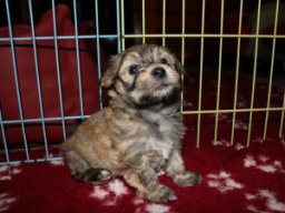 requalbilderonlineshop078_1