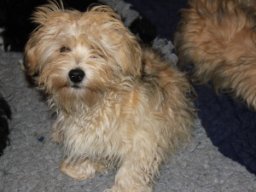 requalbilderonlineshop133_1