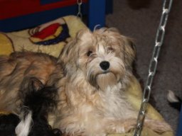 requalbilderonlineshop242_1