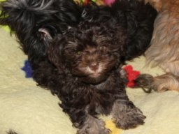 requalbilderonlineshop273_1