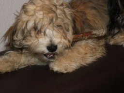 requalbilderonlineshop312_1