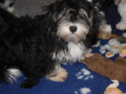 requalbilderonlineshop321_1